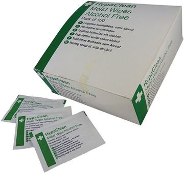 Picture of ALCOHOL FREE WIPES |Ctn 100