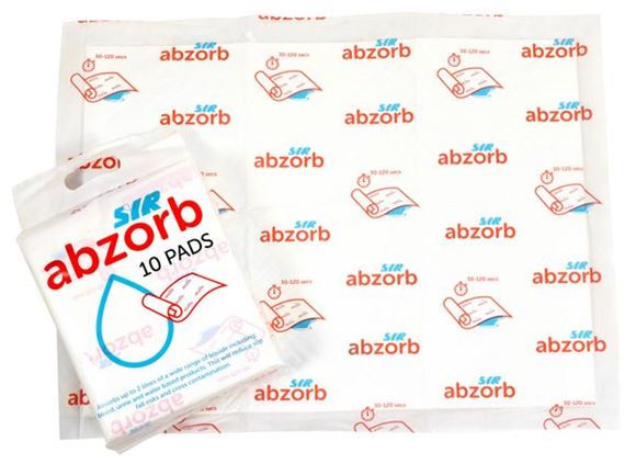 Picture of ABZORB SPILL PADS |Pack 10