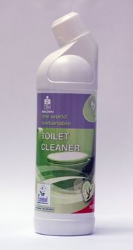 Picture of SELDEN ECO GREEN DAILY TOILET CLEANER |12x1ltr