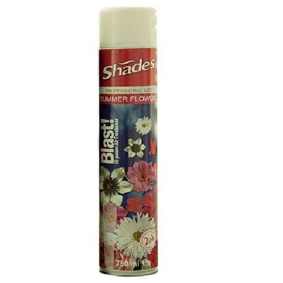 Picture of BLAST AEROSOL AIR FRESHENER SUMMER FLOWERS |6x750ml