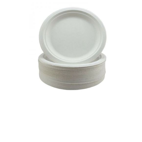 Picture of 7in BAGASSE ROUND PLATES